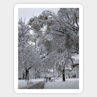 Lafayette Square, Washington, DC, winter path Sticker